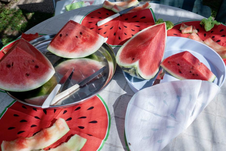 Die Melonenhalle im Museumsquartier