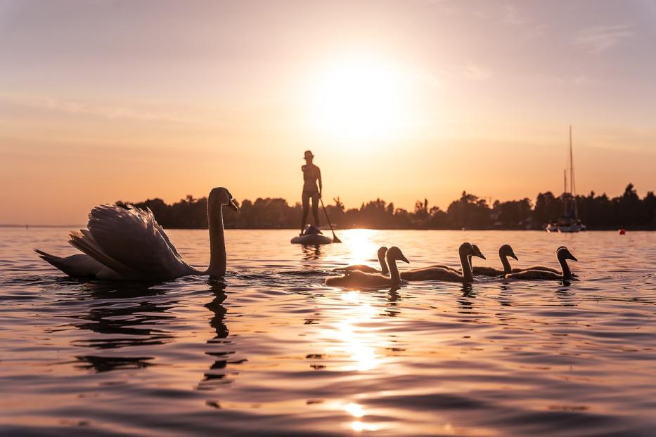 Bodensee im Sonnenuntergang.