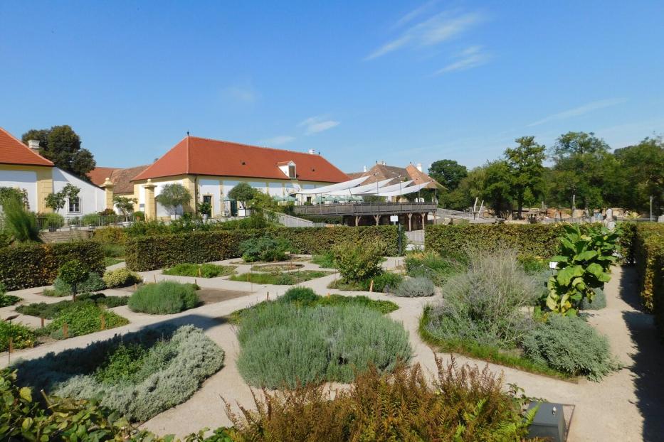 Der Kräutergarten von Schloss Hof