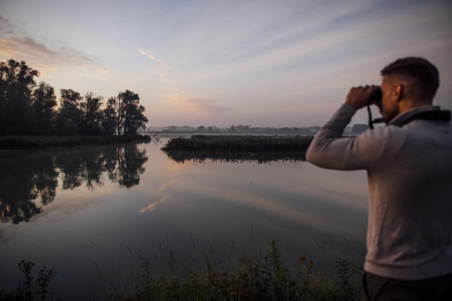 untererinnvogelsafari_oberoesterreichtourismusinnvierteltourismustomson