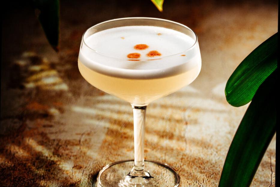 Pisco Sour im Cocktailglas
