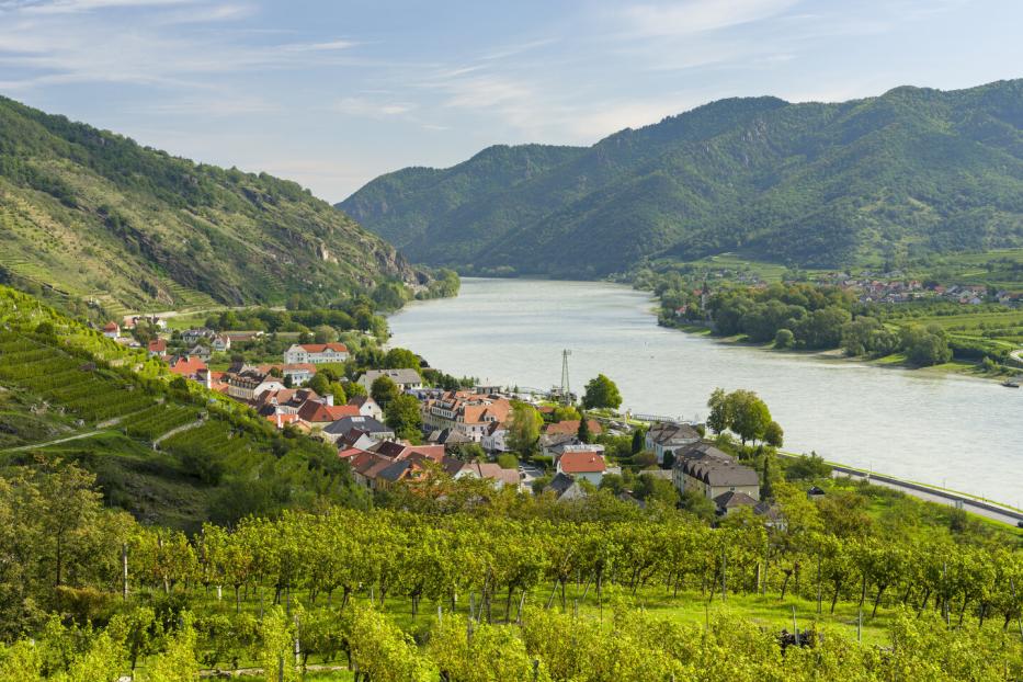 Blick von einem Hügel auf die Donau und die Wachau
