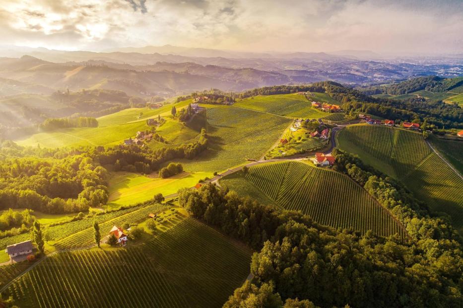 Luftaufnahme von Weinbergen und grünen Hügeln in der Südsteirischen Weinstraße.