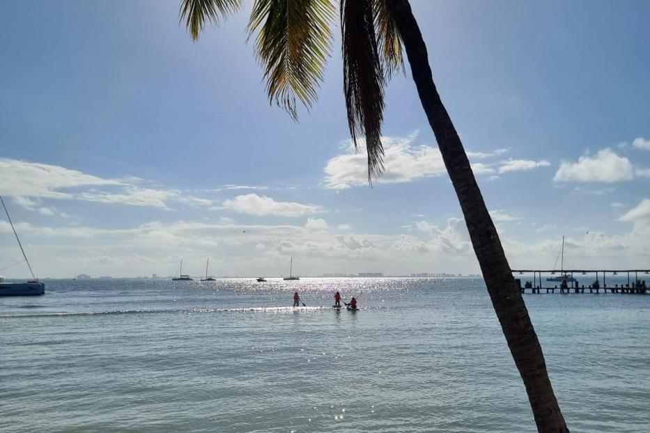 Isla Mujeres Blick auf das Meer mit Palme
