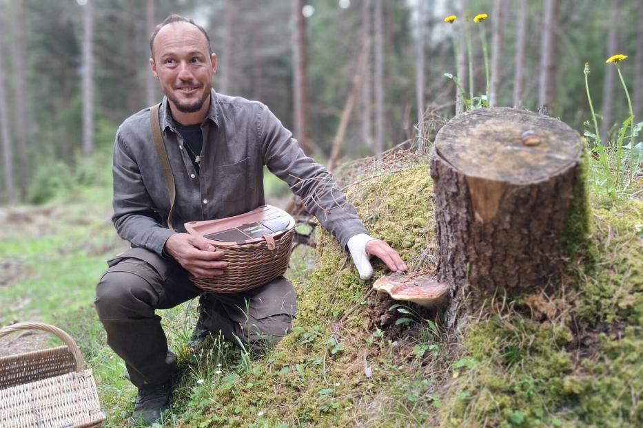 Leeroy Begle, Mykologe