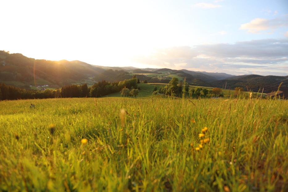 Hügelige Landschaft im Mühlviertel
