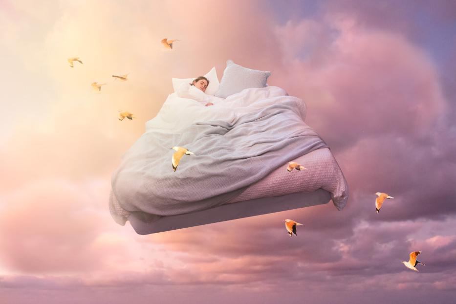 Dream