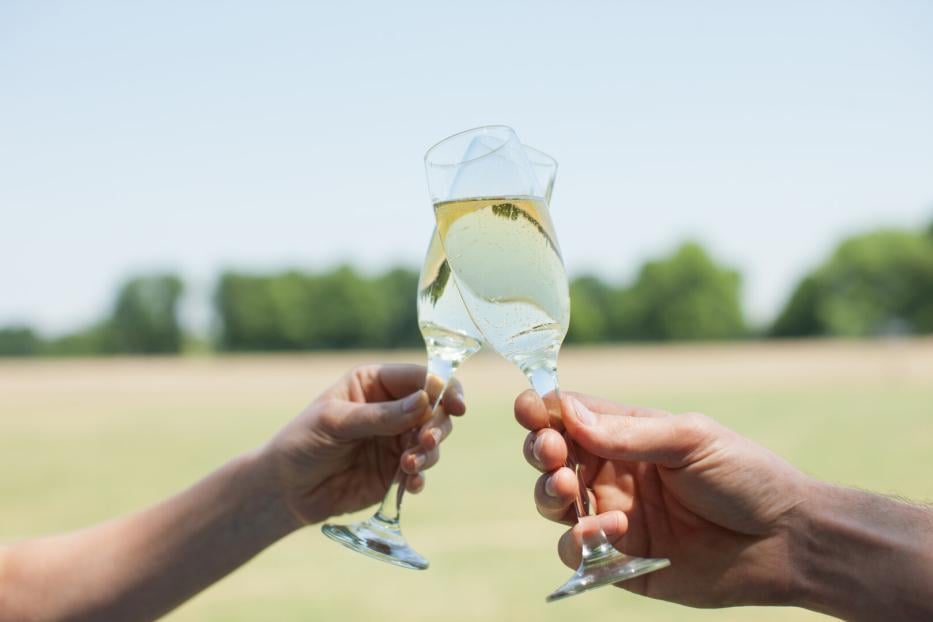 Couple drinking Champagne and toasting