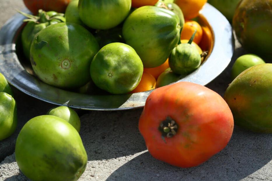 Green tomatoes on concrete, food closeup