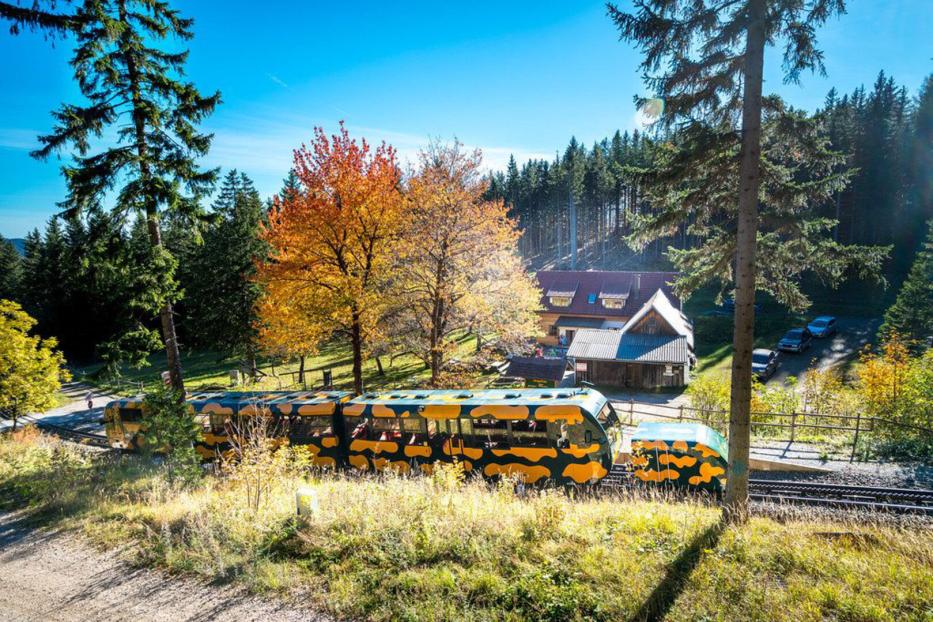 Schneebergbahn "Salamander"