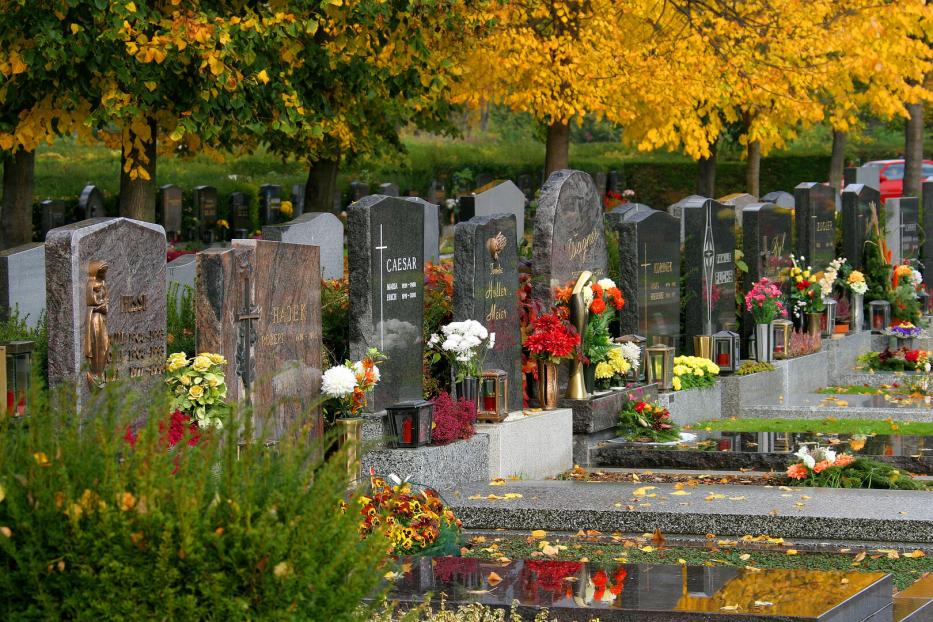 Herbstliche Farbenpracht dank liebevoller Grabpflege am Friedhof Stammersdorf.