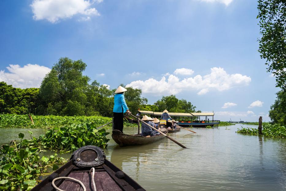 Tourism rowing boat in Mekong delta, Vietnam.