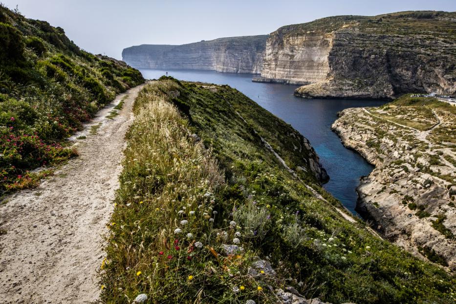 Hiking Path, Cliffs nearby Xlendi Tower bei Gozo, Malta
