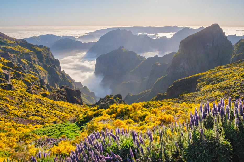 View from Pico do Arieiro, Portugal
