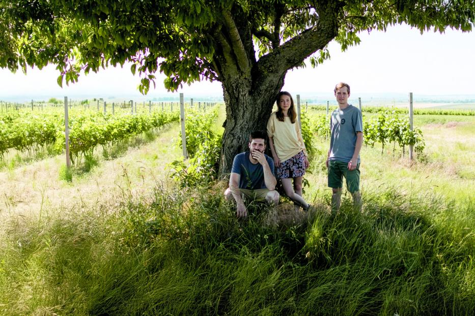 3 Personen vor einem Feld mit Weinreben
