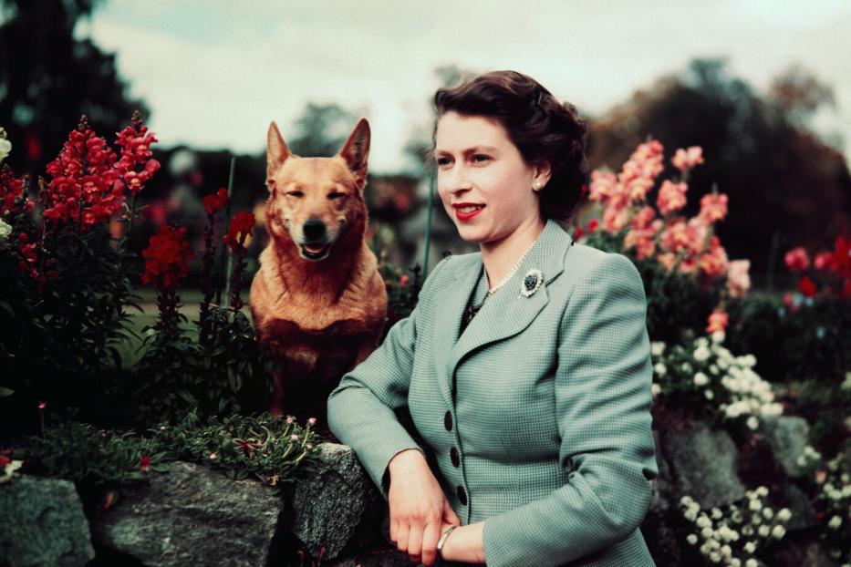 Queen Elizabeth in Garden with Dog