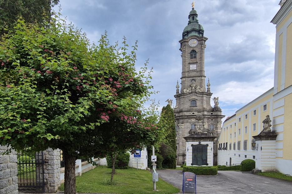Ein Kirchturm mit Uhr steht neben einem gelben Gebäude und einem Baum mit rosa Blüten.