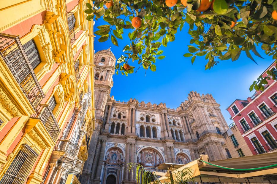 Malaga cathedral and square colofrul architecture street view