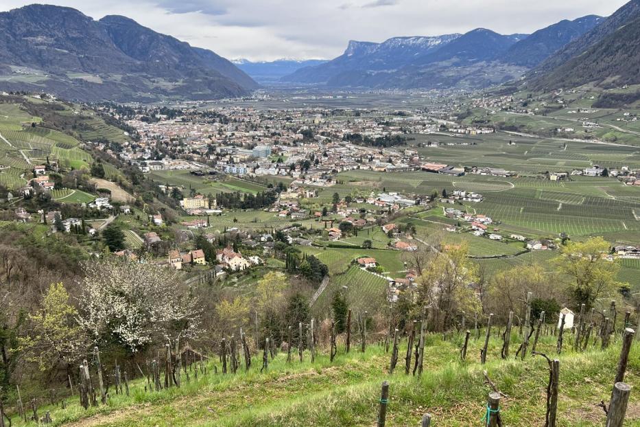 Blick auf Meran