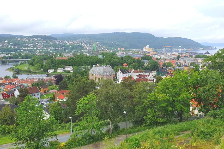 Eine Stadtansicht mit Häusern, Bäumen, einem Fluss und Bergen im Hintergrund unter bewölktem Himmel.