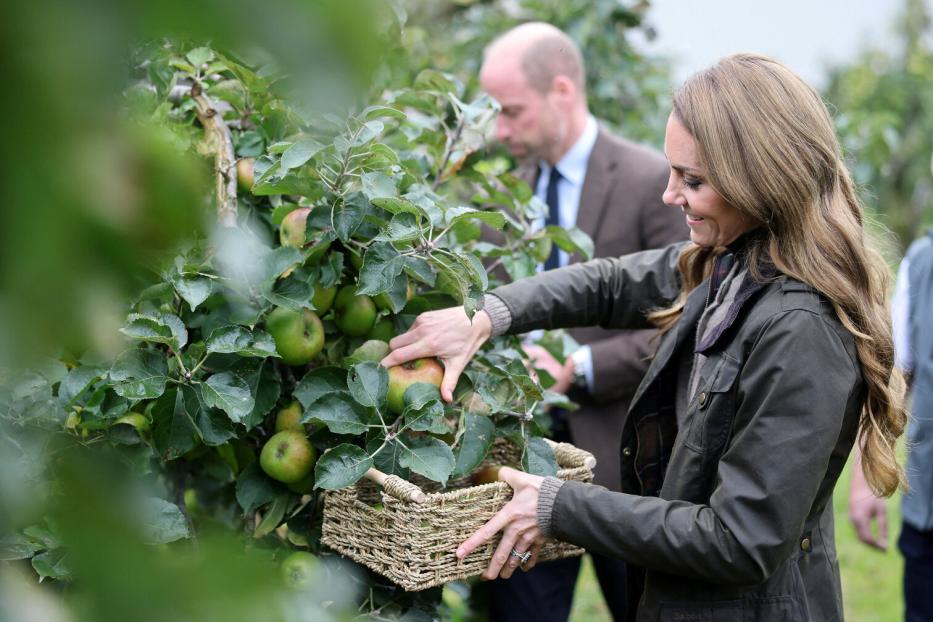 Kate pflückt Äpfel in einen Korb, während William im Hintergrund steht.