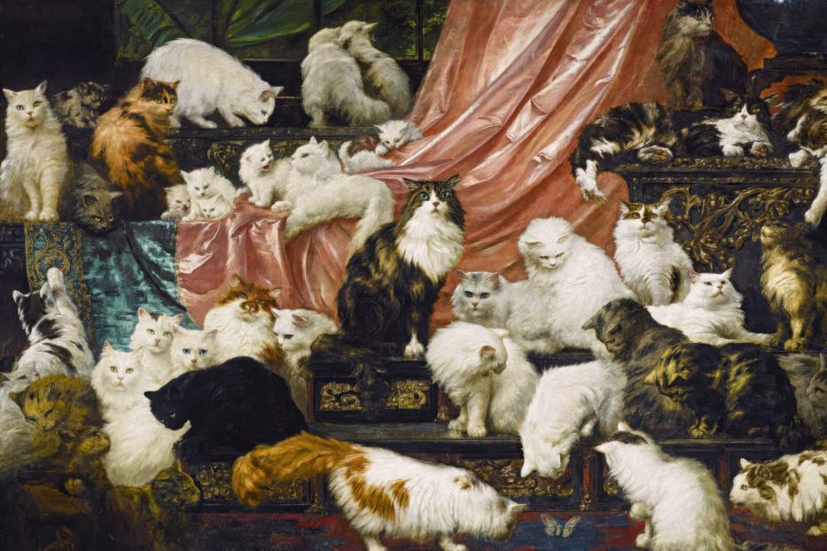 Viele Katzen mit verschiedenem Fell sitzen und liegen dicht beieinander vor einem drapierten, rosa Stoff.