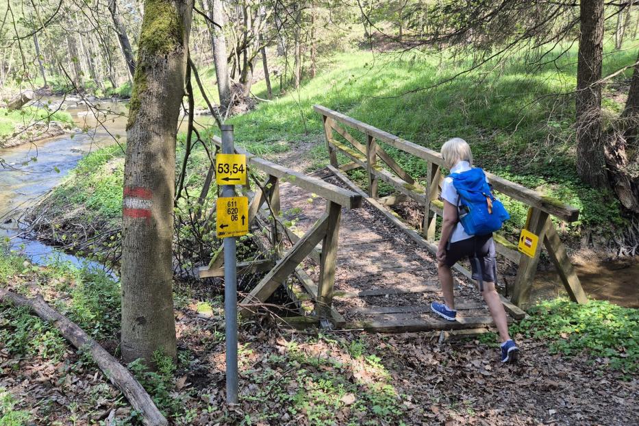 Eine Person mit blauem Rucksack überquert eine kleine Holzbrücke im Wald, neben einem Bach und Wanderwegweisern.