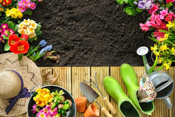 Gardening tools and flowers on the terrace