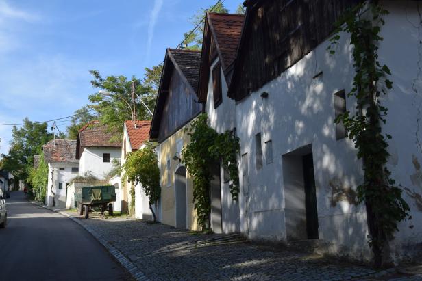 In der steilen Kellergasse in Haugsdorf im Pulkautal wurden Szenen für die Verfilmung "Polt muss weinen" gedreht.