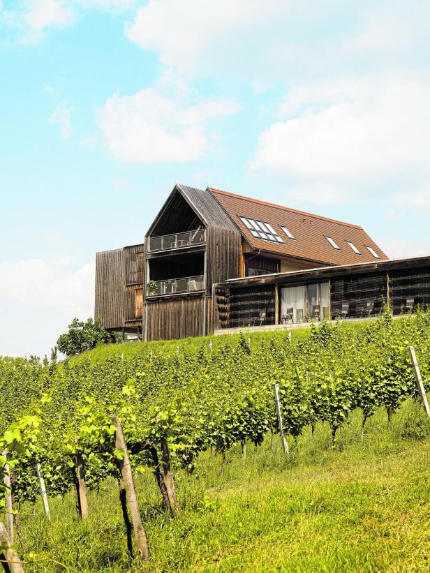 Weingut NeueHeimat, Wein, Winzer, Bastian Kaltenböck