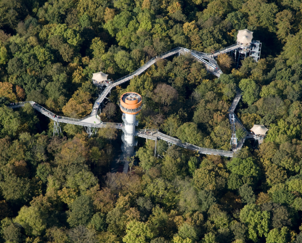 Schönstedt: Baumkronenpfad im Nationalpark Hainich; Naturhighlight 2016