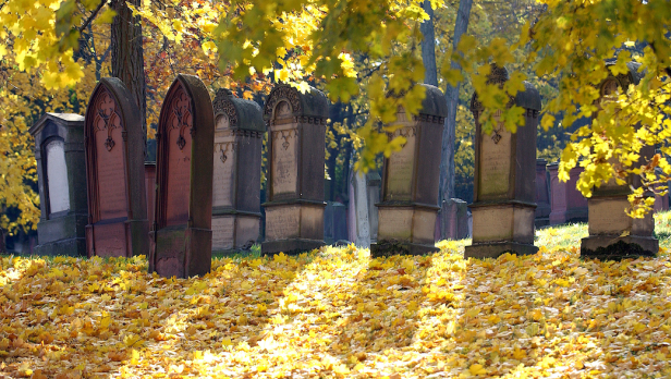 Grabsteine auf ältestem jüdischen Friedhof Europas, bedeckt mit gelben Blättern unter Herbstbäumen.