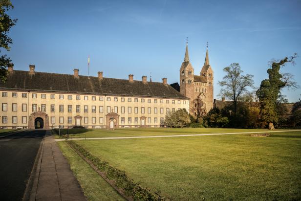 Gebäude mit Rasen und Gras