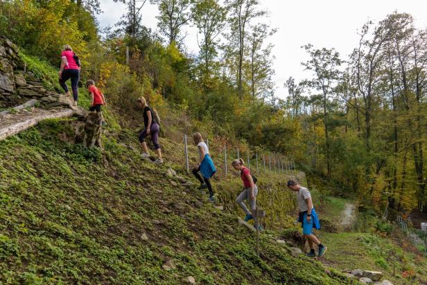 Die Jahresstiege in Gramastetten