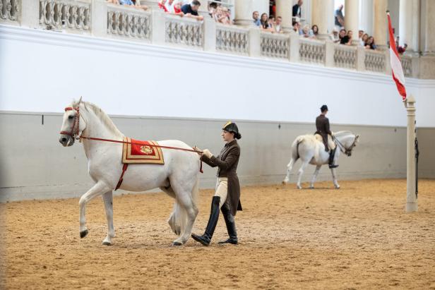 Besuch in der Spanischen Hofreitschule