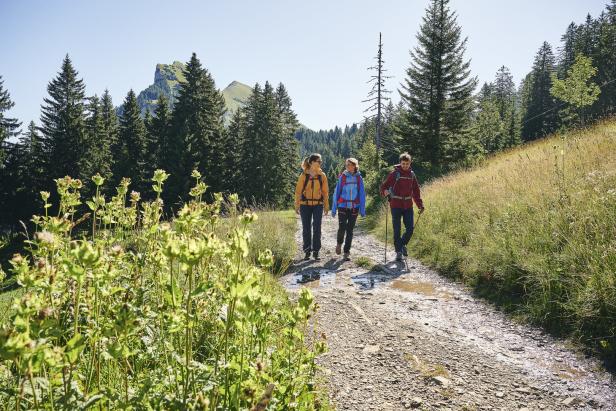 Wandern im Bregenzerwald