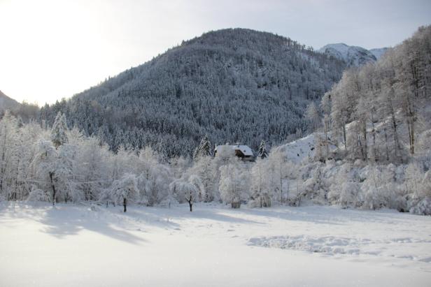 Der Bodinggraben, hinter der weiten Wiese steht im Wald das Forsthaus