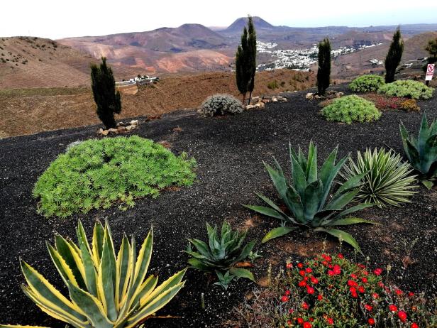 Karge Landschaft von Lanzarote