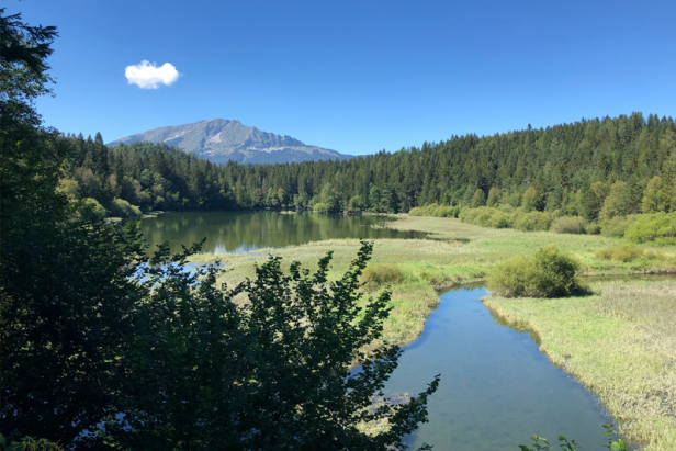 Erlaufsee Mitterbach Österreich