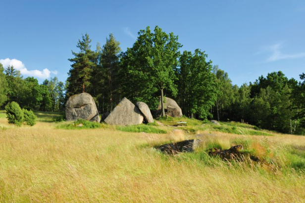 Naturpark Blockheide