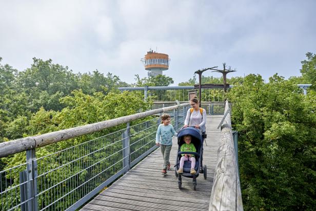 Familie mit Kinderwagen auf dem barrierefreien Baumkronenpfad im Nationalpark Hainich. Im Hintergrund der Aussichtsturm.