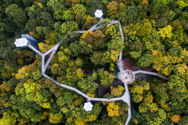 Baumkronenpfad im Nationalpark Hainich