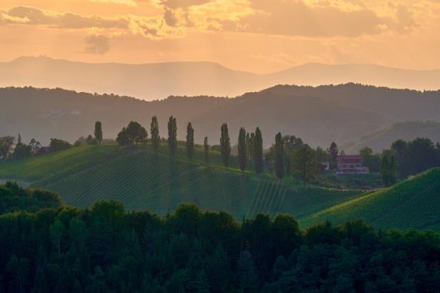 Eine Hügelkette mit Bäumen. Die Sonne geht unter - es sieht aus wie in Italien