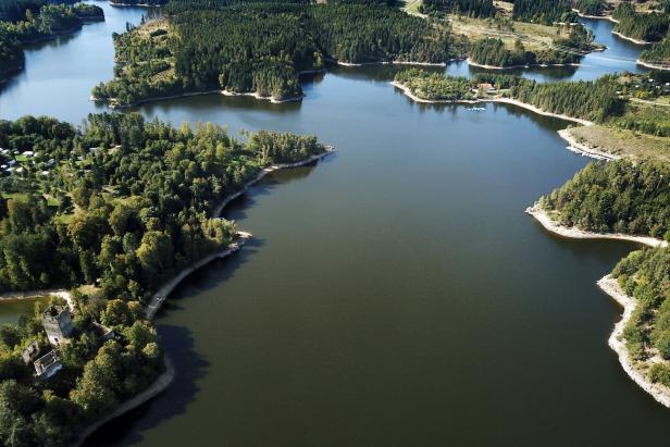 Am Ufer eines grün-braunen verzweigten Sees stehen viele Bäume. Der Ottensteiner Stausee und Dobra könnten auch in Kanada liegen