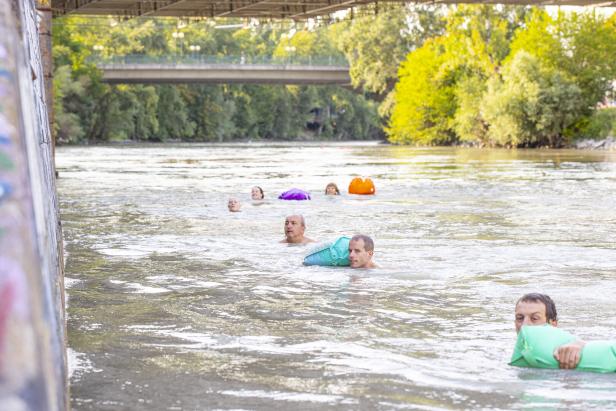 Mehrere Schwimmer im grau-braun-grünen Donaukanal nähern sich der Ausstiegsstelle an einer Mauer.