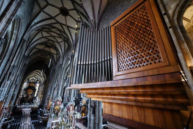 Abkühlung im Stephansdom