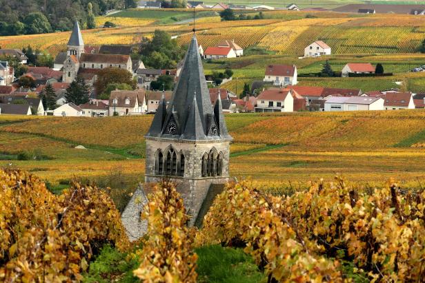 Herbstliche Landschaft mit Weinbergen, Häusern und Kirchen