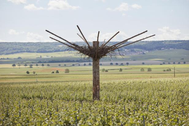 Eine Kunstinstallation, die wie ein Storchennest aussieht mitten in den Weinbergen