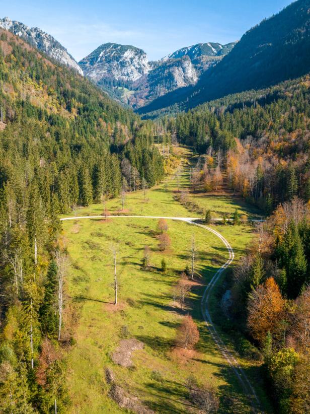 Die Rettenbachalm im Sonnenschein: Grüne Wiese, herbstliche Bäume