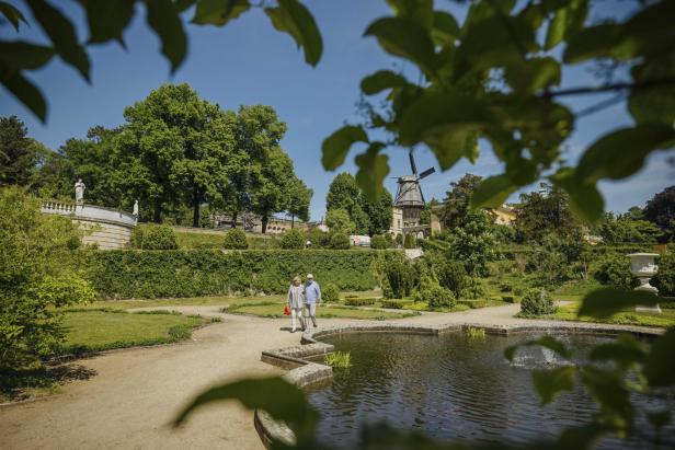 Ein Mann und eine Frau spazieren entspannt durch einen Park, umgeben von Bäumen und Grünflächen.